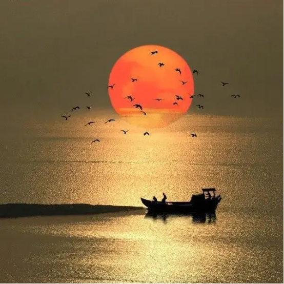 1648015180719276.png image.png
